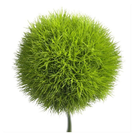 Imagen de Flor Green Ball Sigo (Unidad)